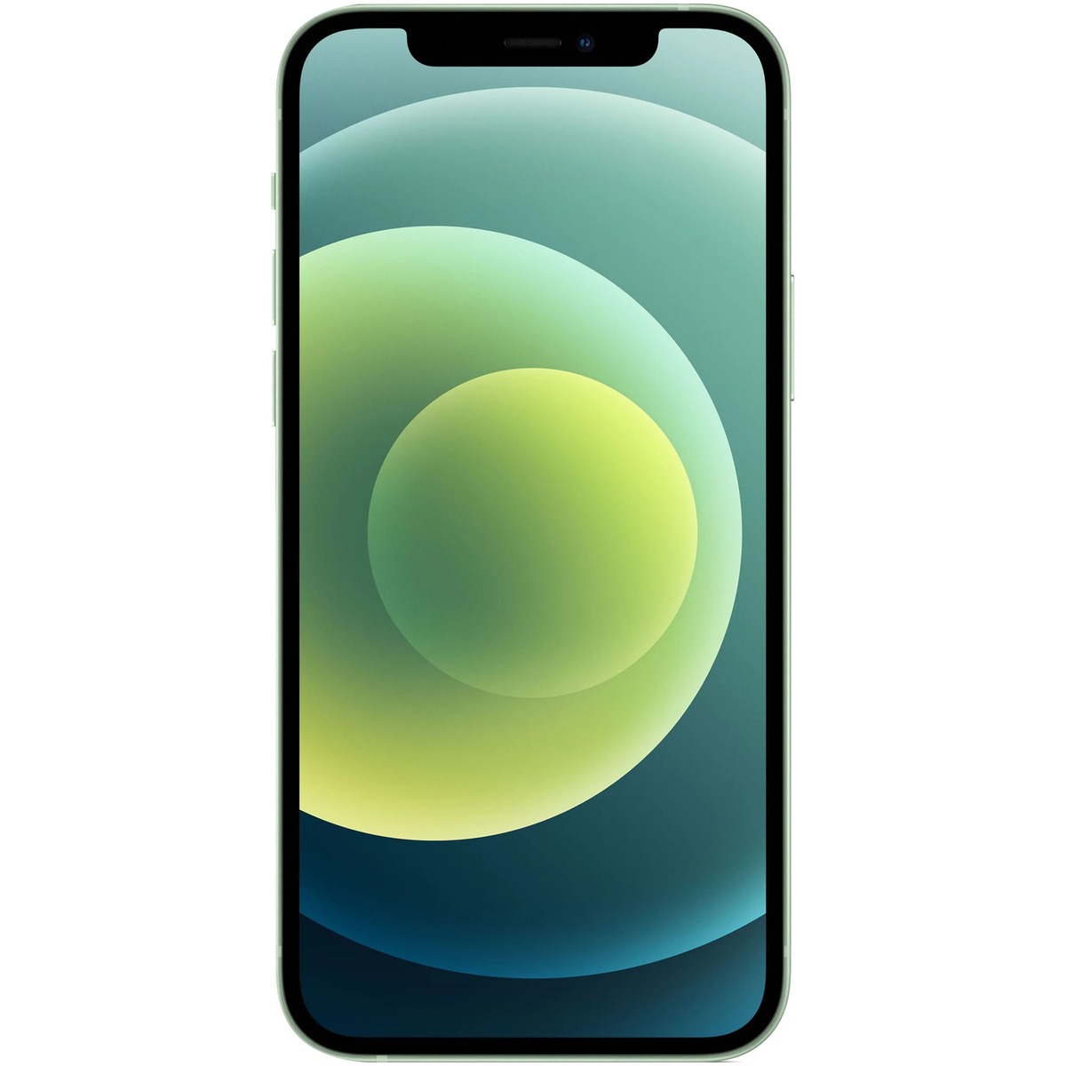Смартфон Apple iPhone 12 128Gb Dual SIM (Цвет: Green)