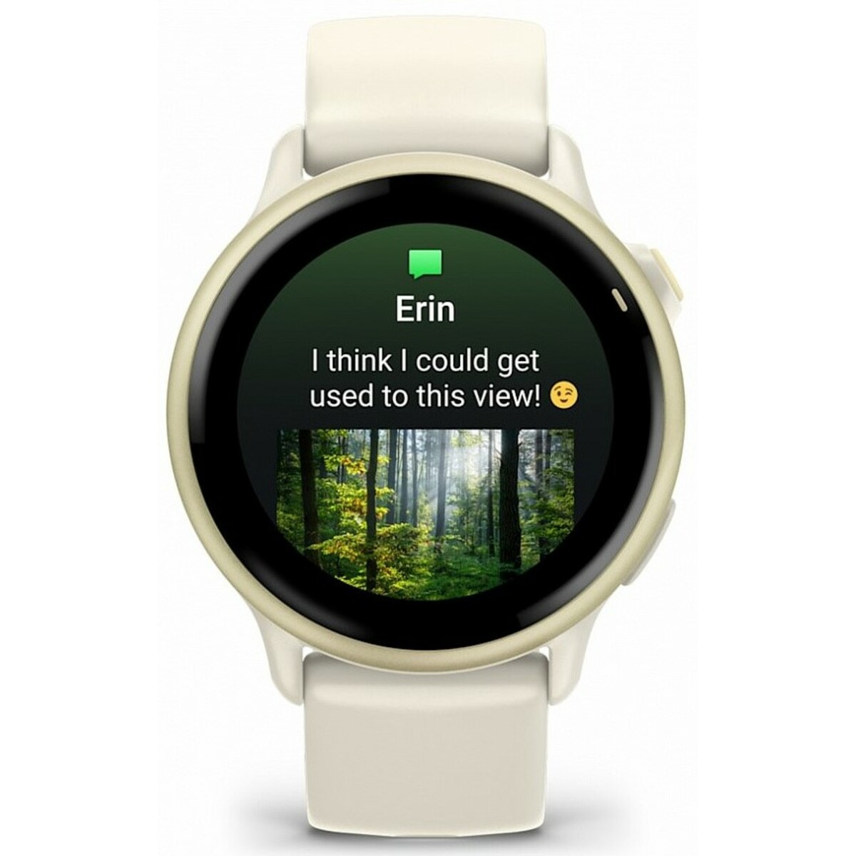 Умные часы Garmin VivoActive 6 (Цвет: Lunar Gold) 