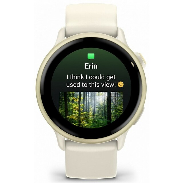 Умные часы Garmin VivoActive 6 (Цвет: Lunar Gold) 