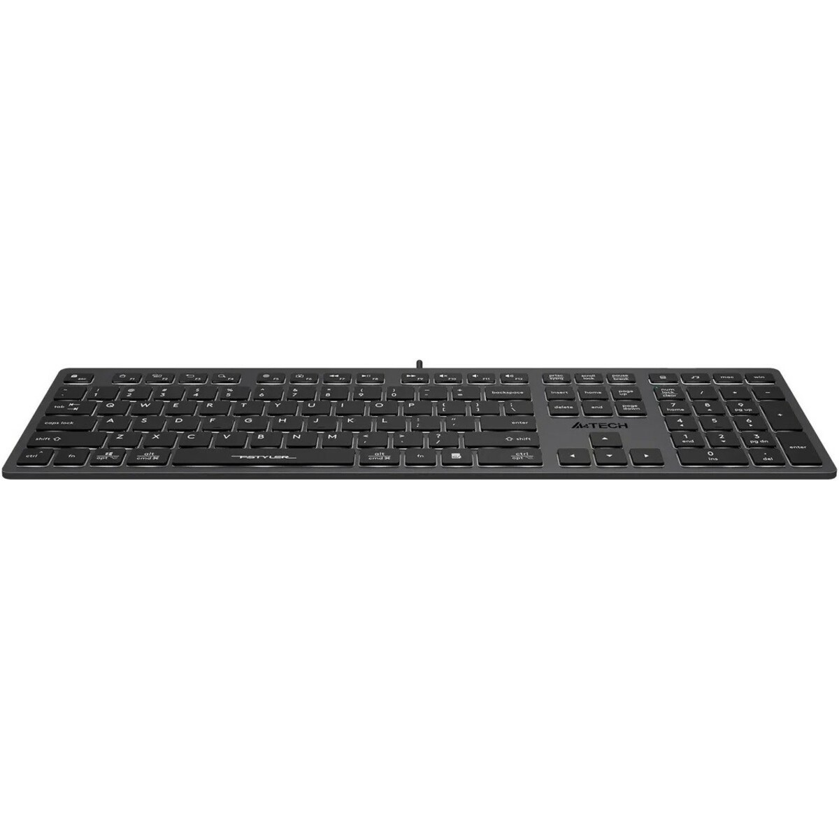 Клавиатура A4Tech Fstyler FX60 (Цвет: Gray)