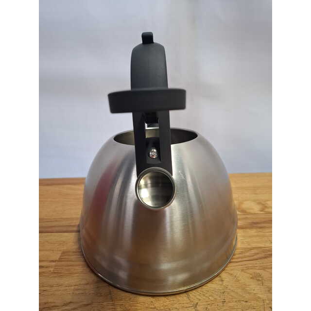Чайник металлический Rondell Zart RDS-1828 (Цвет: Inox)