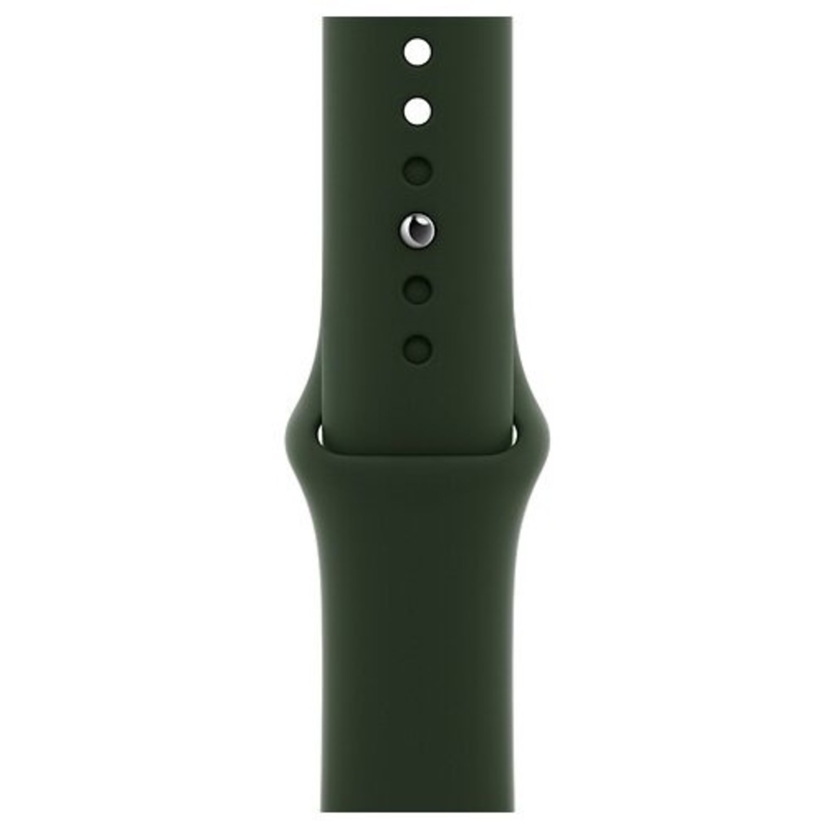 Умные часы Apple Watch Series 6 44mm Stainless Steel Case with Sport Band (Цвет: Gold /  Cyprus Green)