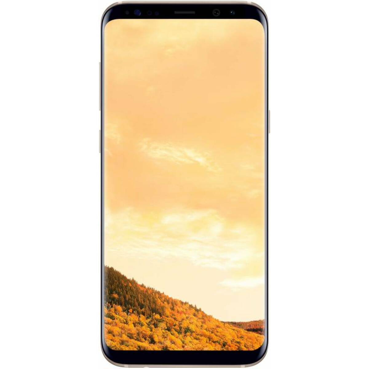 Смартфон Samsung Galaxy S8+ SM-G955FD 64Gb (Цвет: Maple Gold)