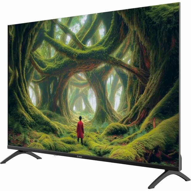 Телевизор Sber 43  SDX-43F3000DBA, черный
