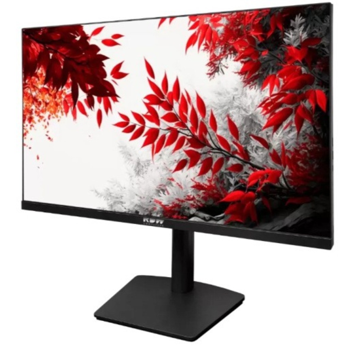 Монитор RDW Computers 32" RDW3207, черный