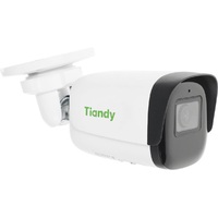 Камера видеонаблюдения IP Tiandy TC-C35WS 3ERA-28, белый