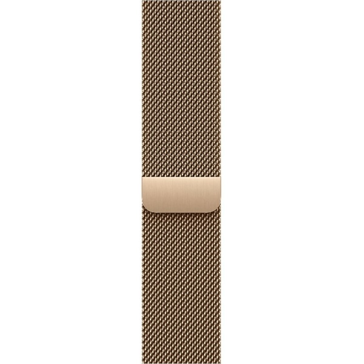 Умные часы Apple Watch Series 11 46mm Titanium Case with Milanese Loop M / L (Цвет: Gold) Умные часы Apple Watch Series 11 46mm Titanium Case with Milanese Loop M / L (Цвет: Gold)