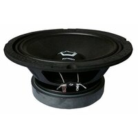 Колонки автомобильные Ural Patriot AS-PT200 B E (без решетки) (Цвет: Black)