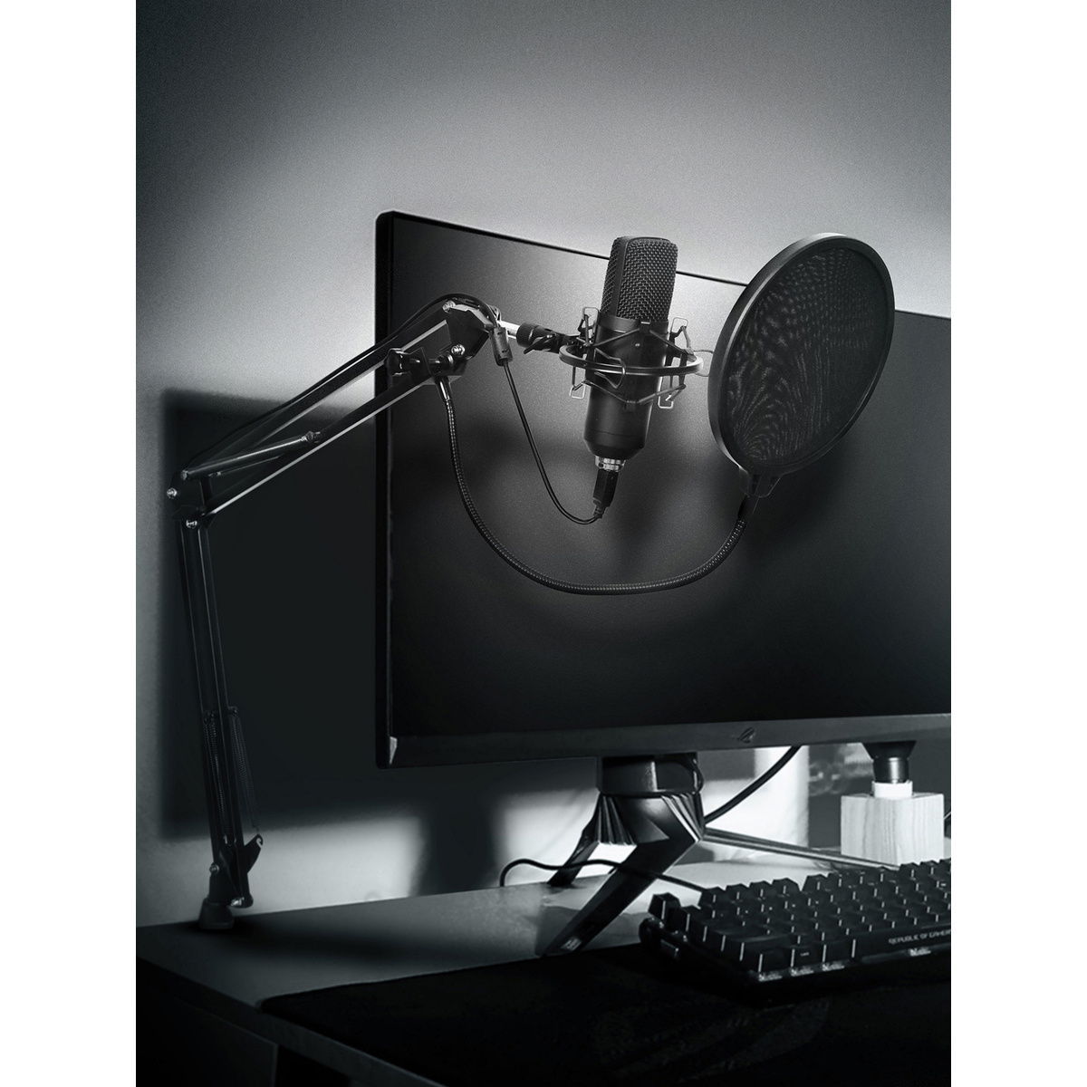 Микрофон проводной SunWind SW-SM400G (Цвет: Black)