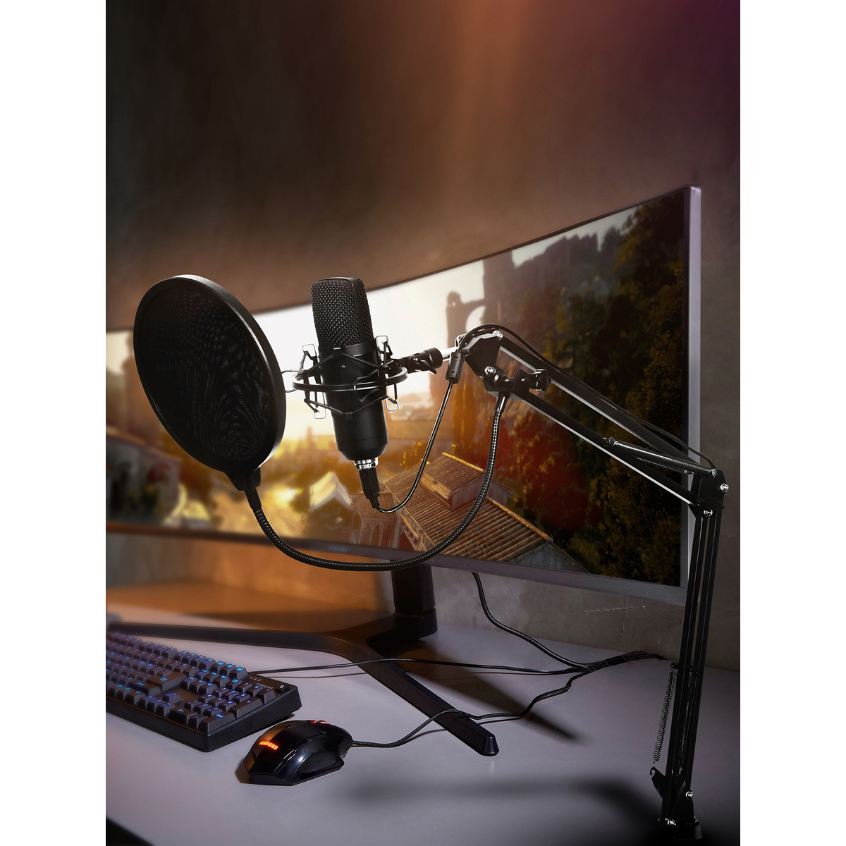 Микрофон проводной SunWind SW-SM400G (Цвет: Black)