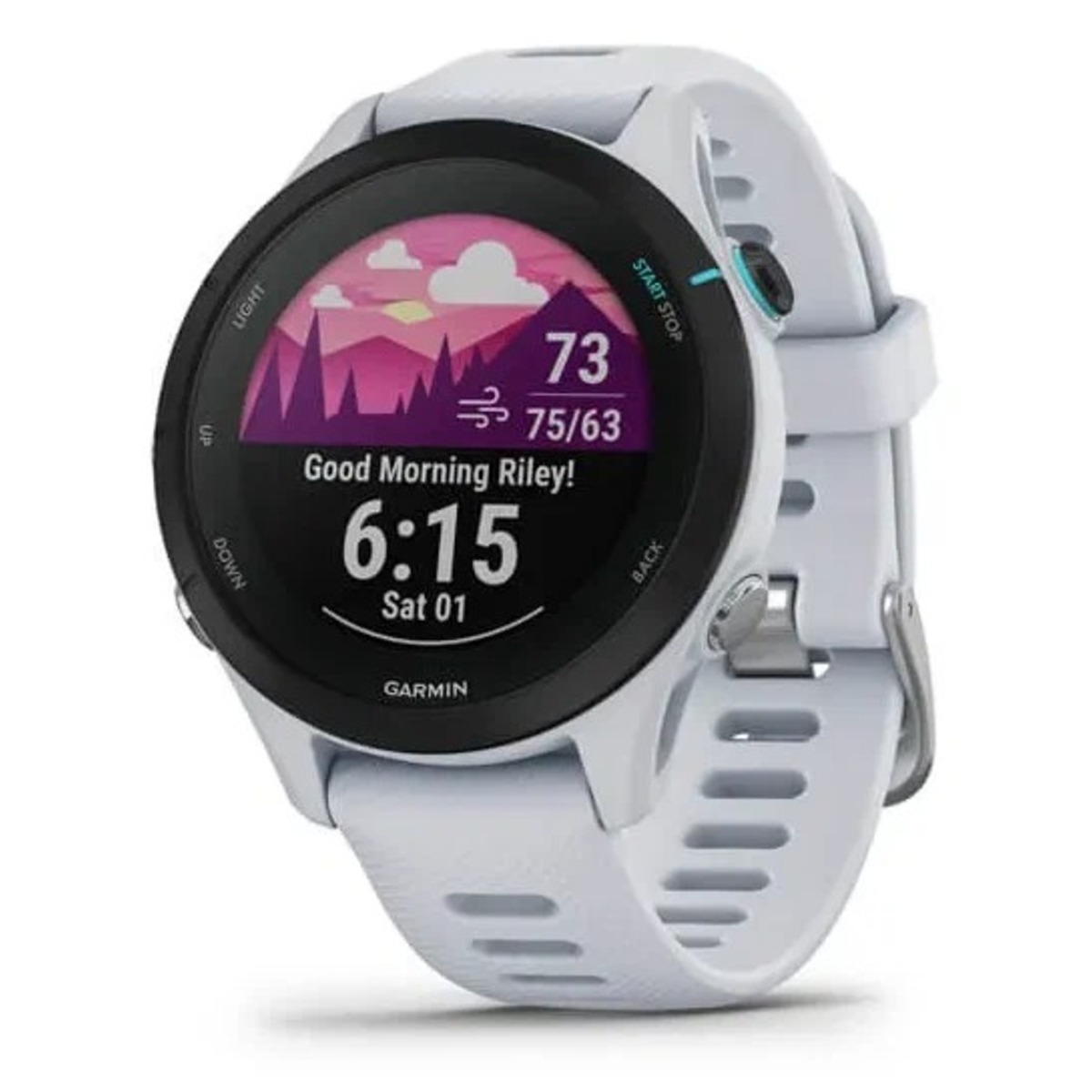 Умные часы Garmin Forerunner 255S Music (Цвет: Whitestone)