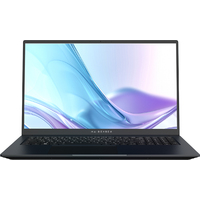 Ноутбук Maibenben Perfectum P17A-R787UM (Ryzen 7 8745HS 3.8 Ghz/16Gb DDR5/SSD1Tb/AMD Radeon Graphics/17.3 /Linux/Gray) (P17A-R787UMG1SLGRE0)