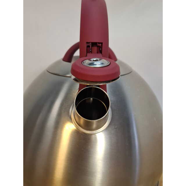 Чайник металлический Rondell Eletto RDS-1825 (Цвет: Inox) Чайник металлический Rondell Eletto RDS-1825 (Цвет: Inox)