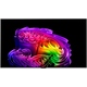 Телевизор LG 65" OLED65G6RLA.ARU, черный..