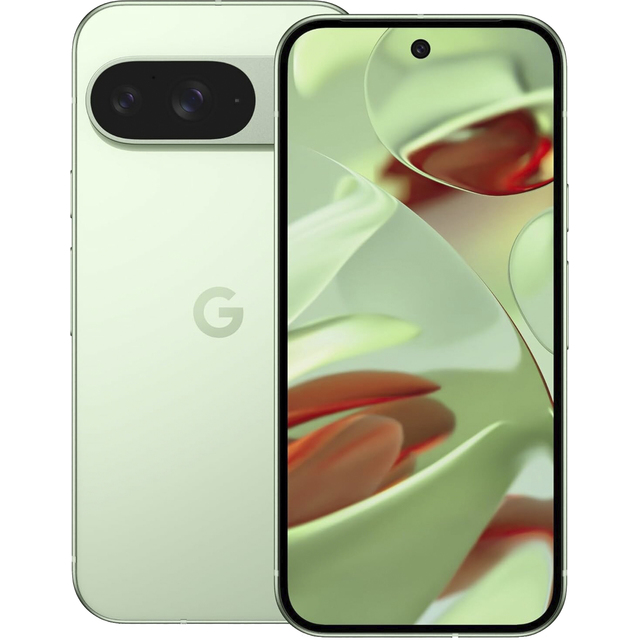 Смартфон Google Pixel 9 12 / 256Gb (Цвет: Wintergreen)