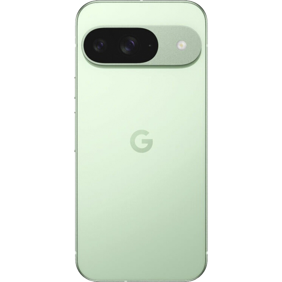 Смартфон Google Pixel 9 12 / 256Gb (Цвет: Wintergreen)