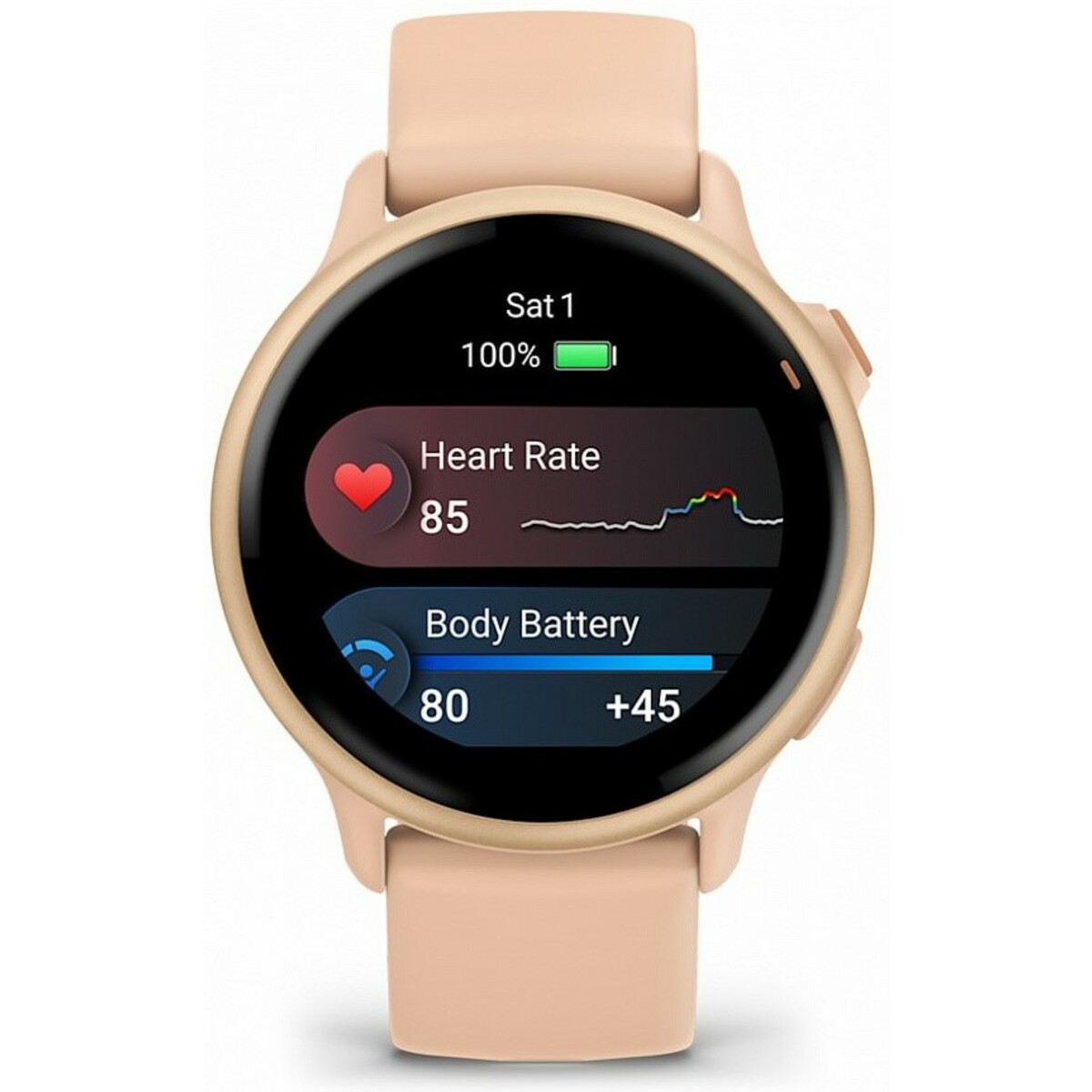 Умные часы Garmin VivoActive 6 (Цвет: Metallic Pink / Pink Dawn)