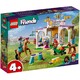 Конструктор LEGO Friends Тренировка лоша..
