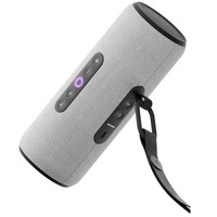 Умная колонка Яндекс Станция Стрит (Цвет: Gray)