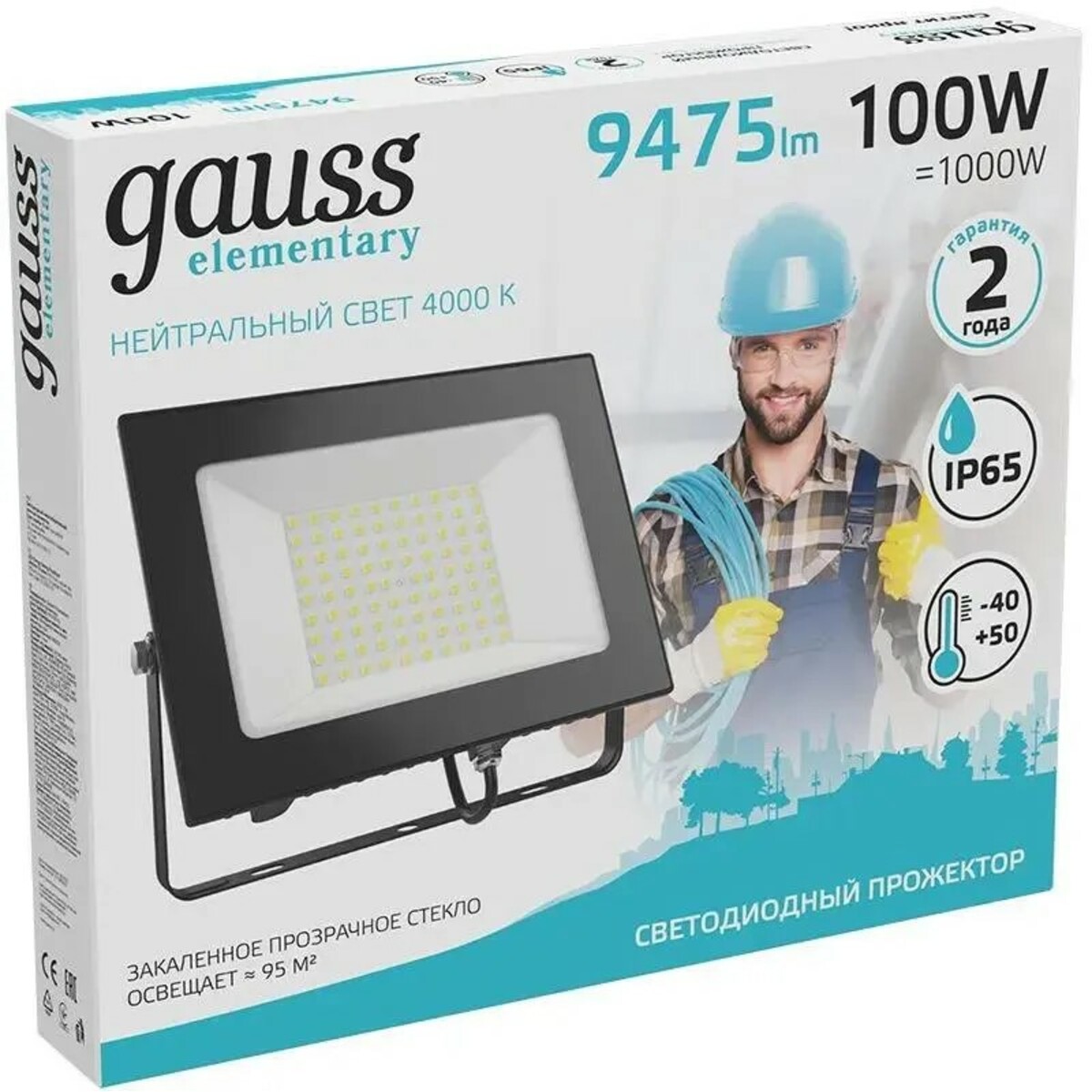 Прожектор уличный Gauss Elementary 613100110 100Вт, черный 