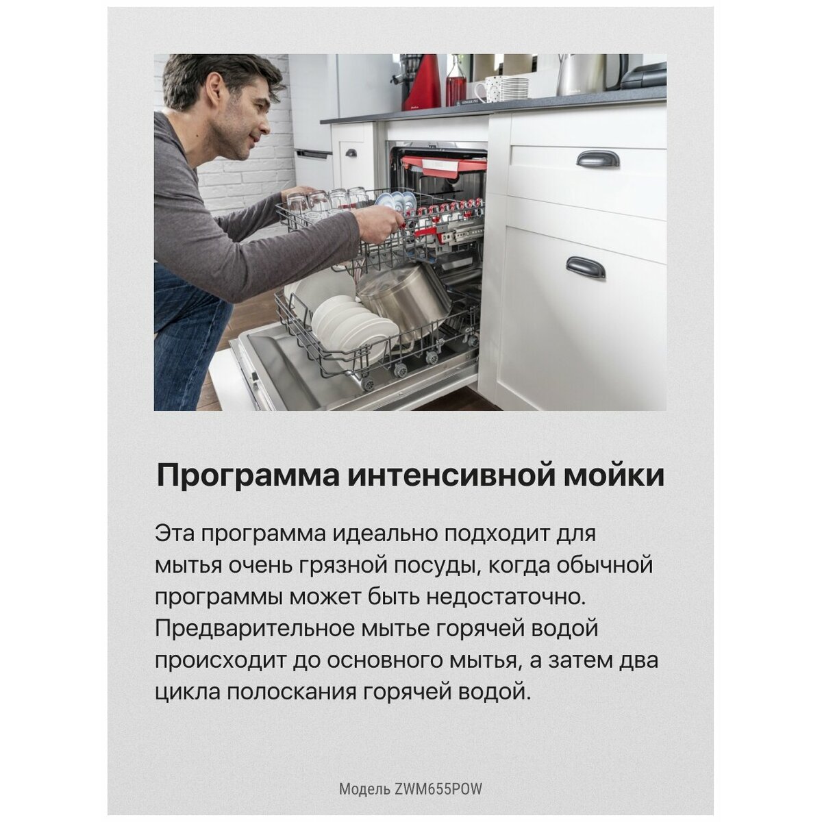 Посудомоечная машина Hansa ZWM655POW (Цвет: White)