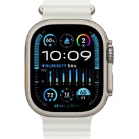 Умные часы Apple Watch Ultra 2 49mm Titanium Case with Ocean Band (Цвет: White)