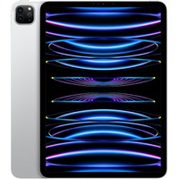 Планшет Apple iPad Pro 11 (2022) 1Tb Wi-Fi (Цвет: Silver)