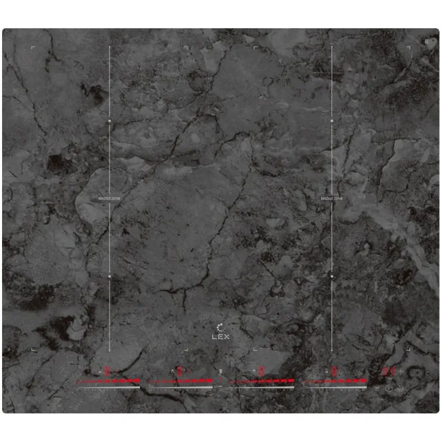 Индукционная варочная панель Lex EVI 640-1 F I DS (Цвет: Gray)