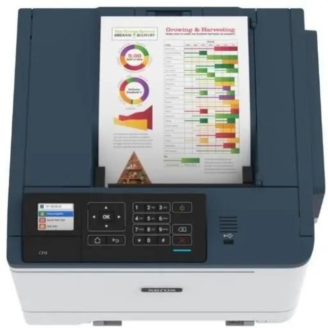 Принтер светодиодный Xerox Phaser C310V_DNI, белый