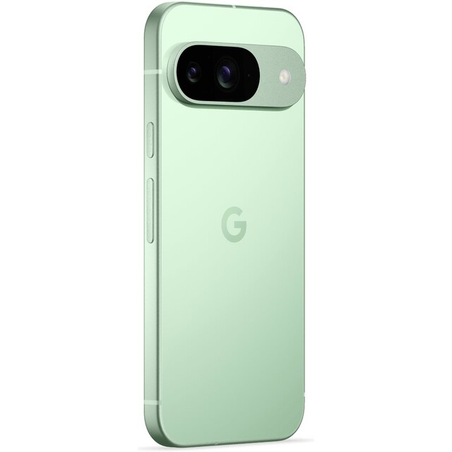 Смартфон Google Pixel 9 12/128Gb (Цвет: Wintegreen)