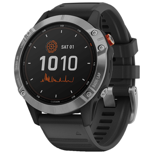 Умные часы Garmin Fenix 6 Solar (Цвет: Silver / Black)