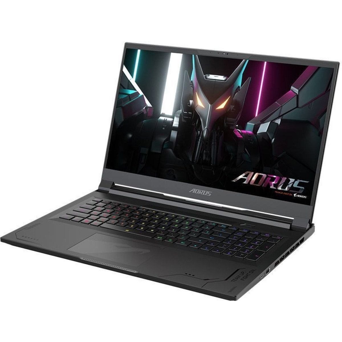 Ноутбук Gigabyte Aorus 17X AXF Core i9 13900HX 16Gb SSD1Tb NVIDIA GeForce RTX4080 12Gb 17.3 IPS QHD (2560x1440) Free DOS black WiFi BT Cam (AXF-B4KZ694SD)