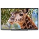 Телевизор PolarLine 50" 50PU11TC-SM (Цве..