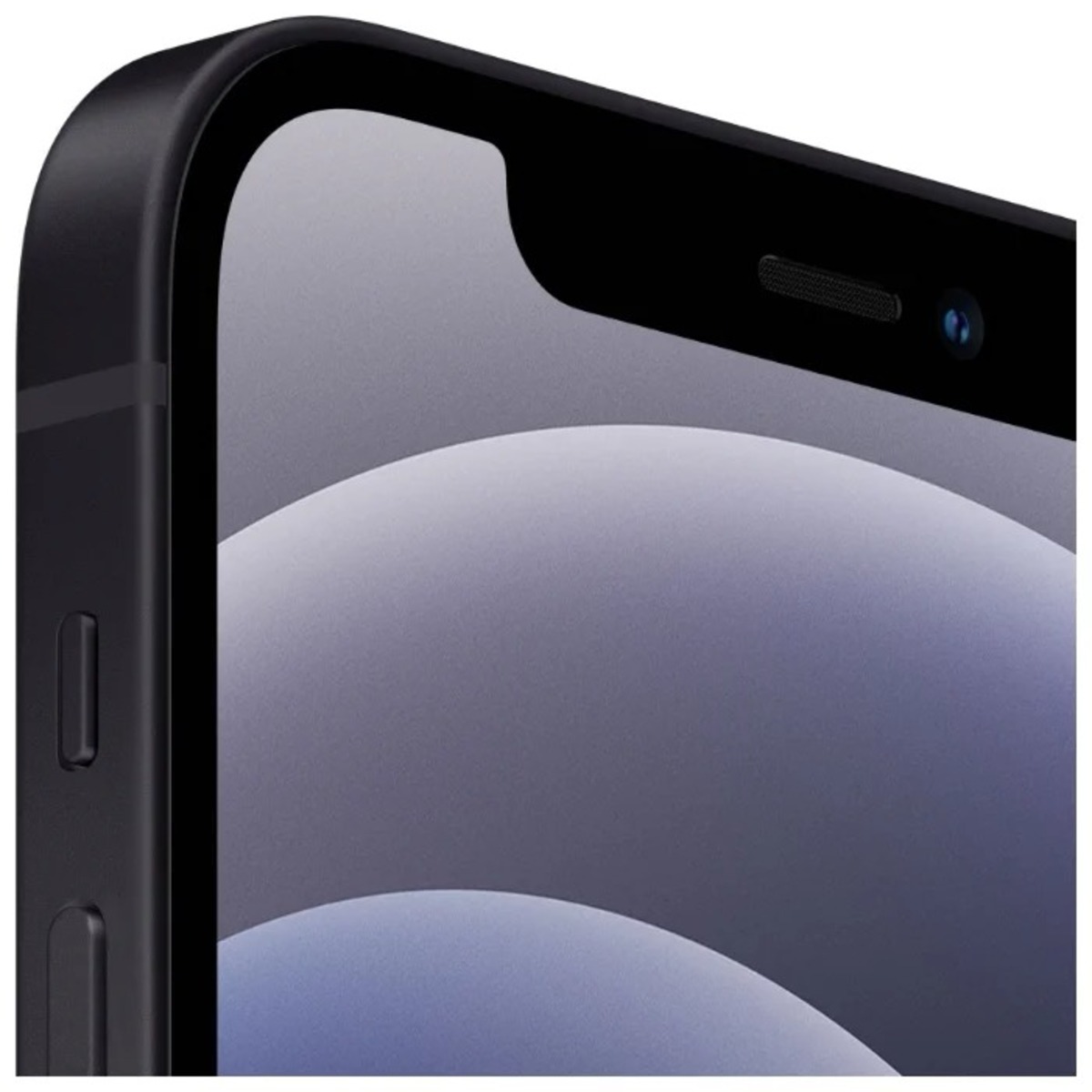 Смартфон Apple iPhone 12 256Gb Dual SIM (Цвет: Black)