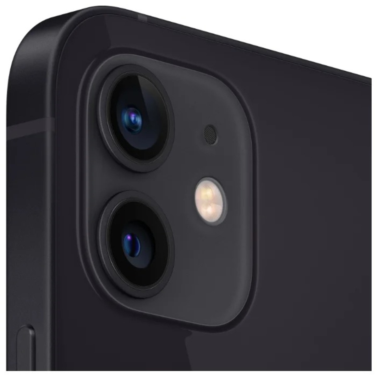 Смартфон Apple iPhone 12 256Gb Dual SIM (Цвет: Black)