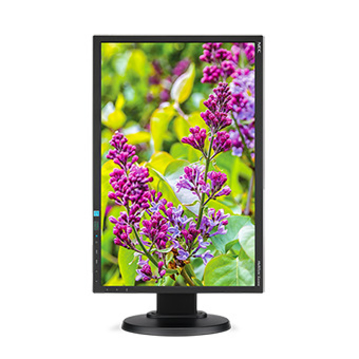 Монитор NEC 23