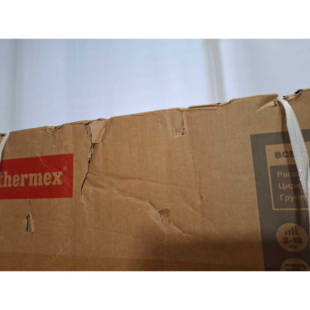 Электрический котел Thermex Boss 12 Wi-Fi (Black), черный