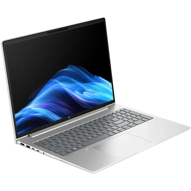 Ноутбук HP ProBook 4 G1a (Ryzen 5 230 3.5Ghz/16Gb DDR5/SSD256Gb/AMD Radeon 760M/16 /Windows 11 Pro/silver) (BM2S8UT)