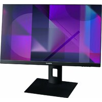 Моноблок Kvadra A20 Gen.1.1 (Core i5 512400 2.5Ghz/16Gb DDR4/SSD256Gb/Intel UHD Graphics 730/23.8 /IPS/FHD (1920x1080)/noOS/keyboard+mouse/black/WiFi/BT/Cam) 