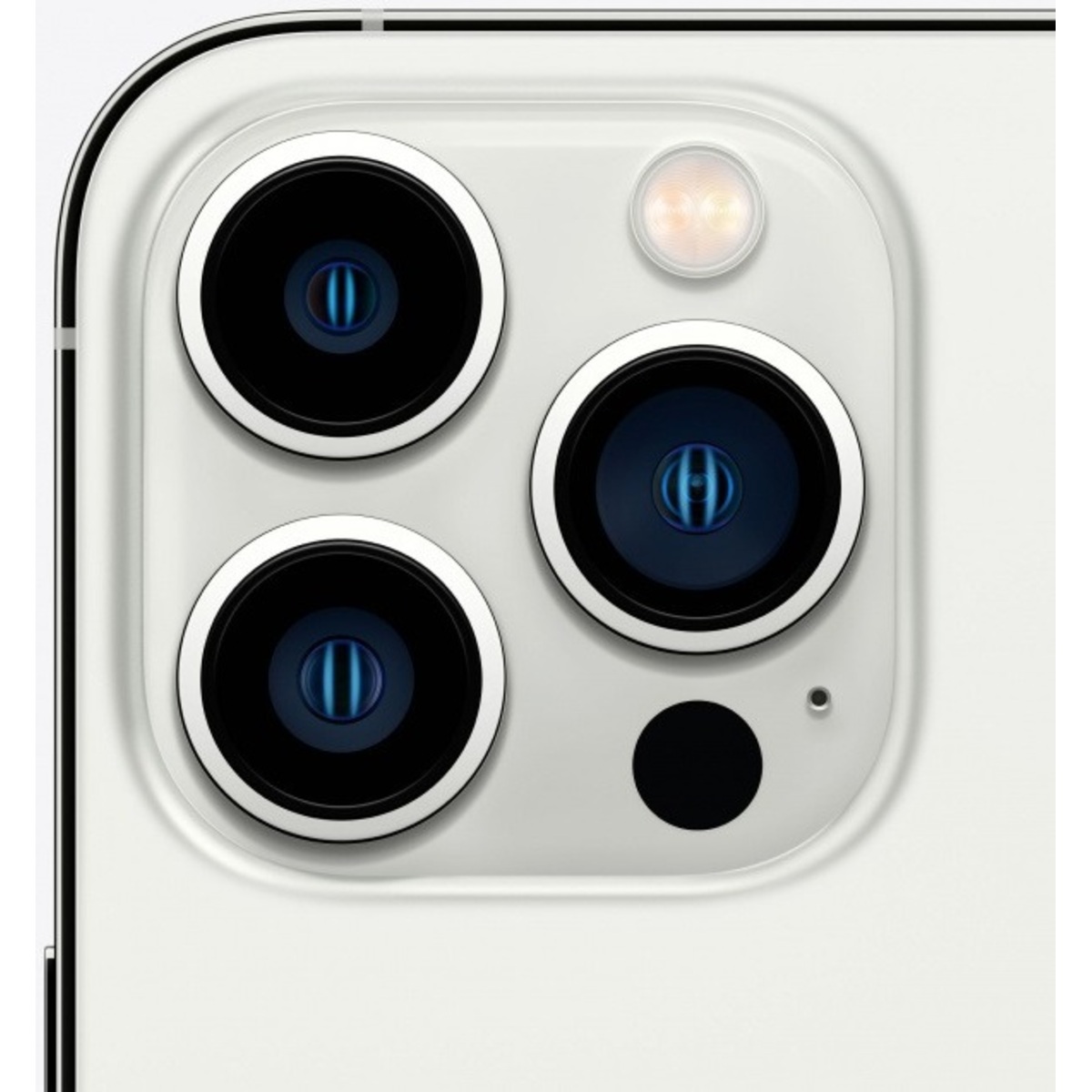 Apple iPhone 13 Pro Max 256Gb (Silver)