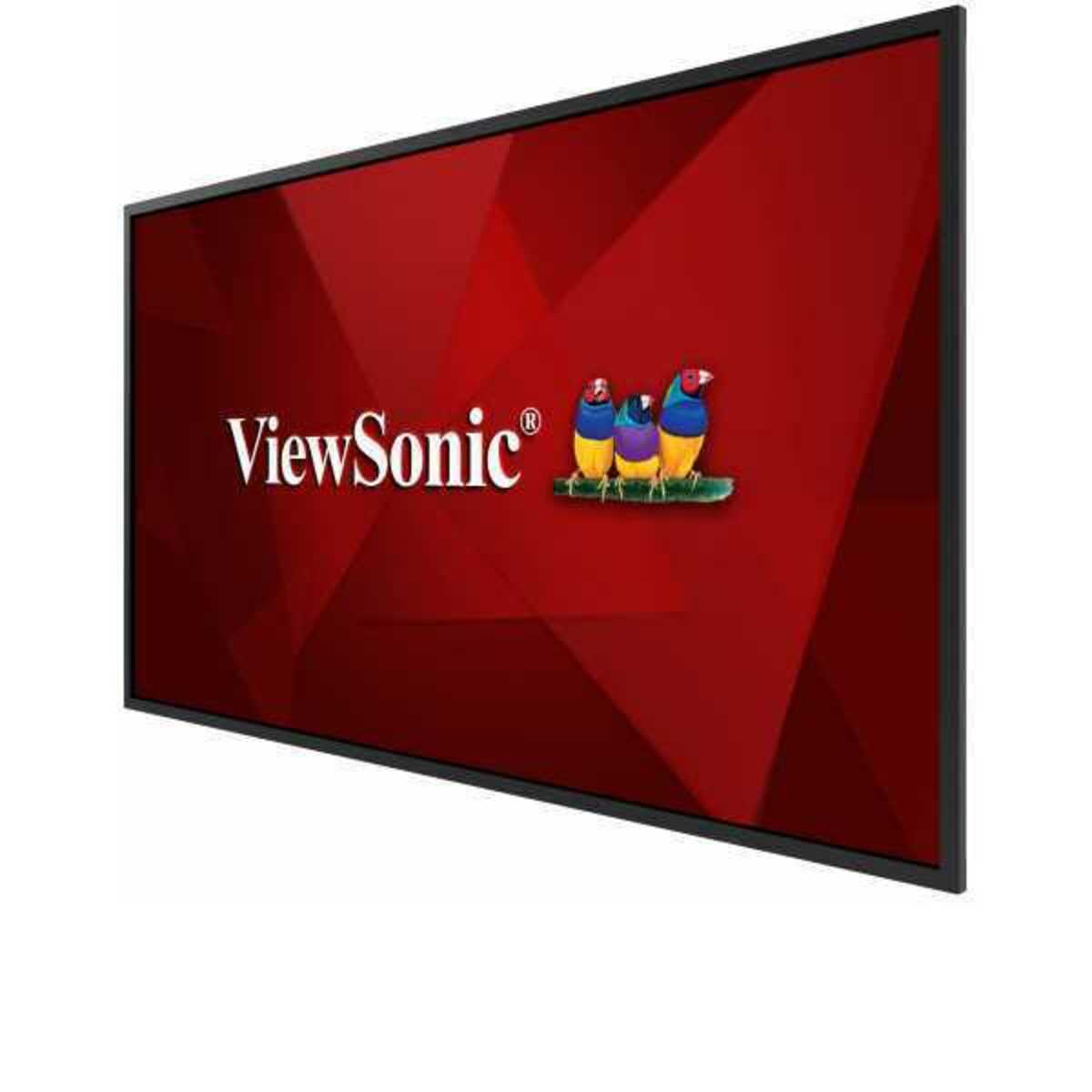 Панель ViewSonic 55" CDE5520 (Цвет: Black)