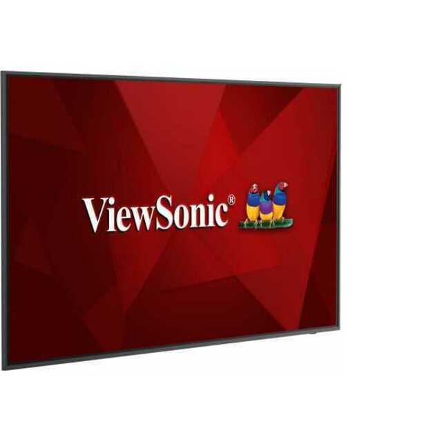 Панель ViewSonic 65" CDE6520 (Цвет: Black)