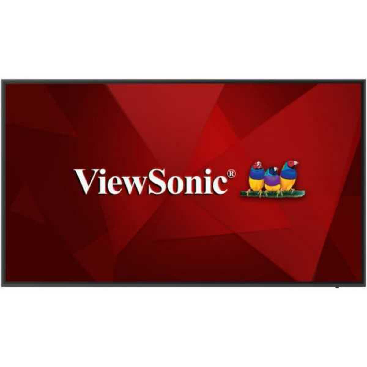 Панель ViewSonic 65" CDE6520 (Цвет: Black)
