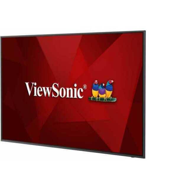 Панель ViewSonic 65" CDE6520 (Цвет: Black)