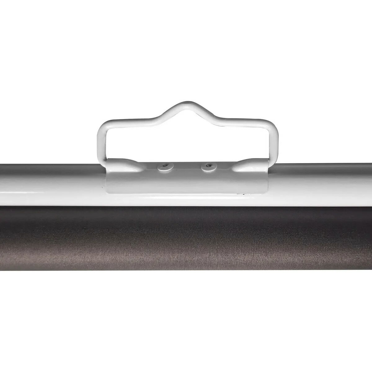 Экран Cactus CS-PSRM-150X150-WT
