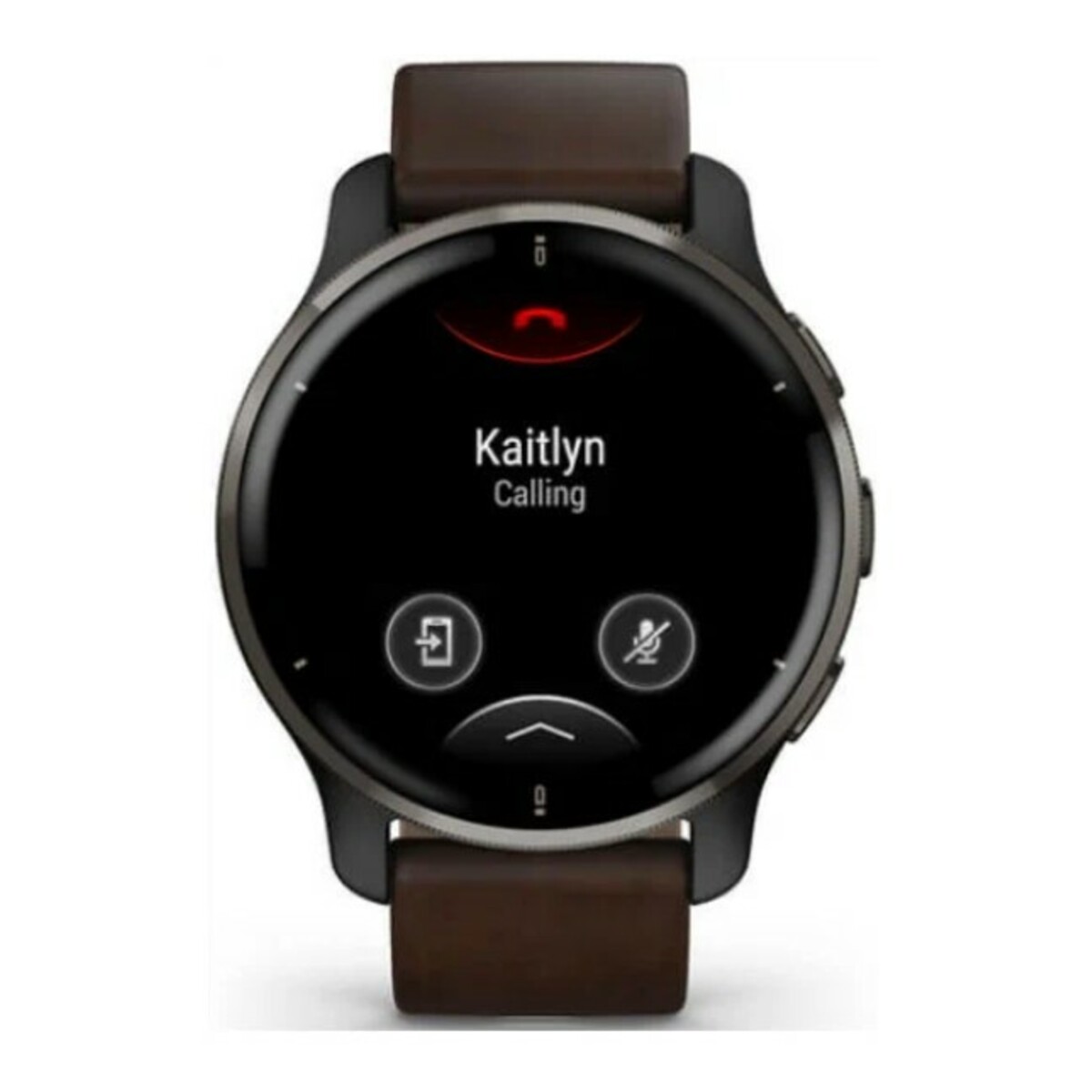 Умные часы Garmin Venu 2 Plus (Цвет: Brown)