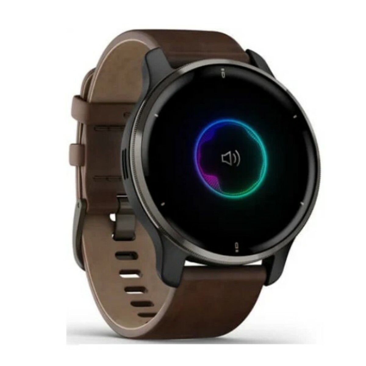 Умные часы Garmin Venu 2 Plus (Цвет: Brown)