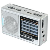 Радиоприемник портативный Hyundai H-PSR160 (Цвет: Silver)