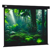 Экран Cactus Wallscreen CS-PSW-213X213-BK