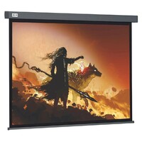 Экран Cactus CS-PSW-213X213-SG
